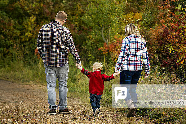 Mutter und Vater halten sich mit ihrem kleinen Sohn an den Händen  während sie im Herbst einen Weg in einem Stadtpark entlanggehen; Edmonton  Alberta  Kanada