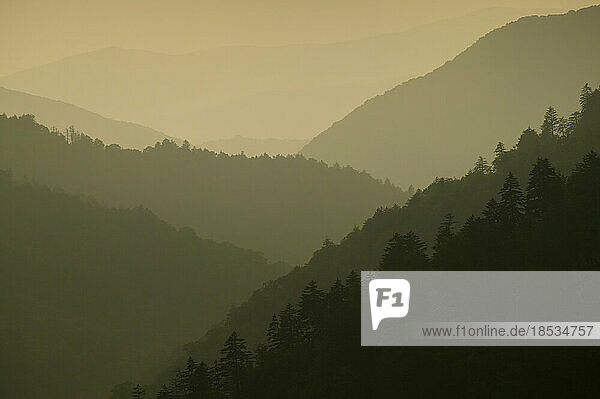 Silhouettierte Schichten von Bergen in den Appalachen von Newfound Gap im Great Smoky Mountains National Park  Tennessee  USA; Tennessee  Vereinigte Staaten von Amerika