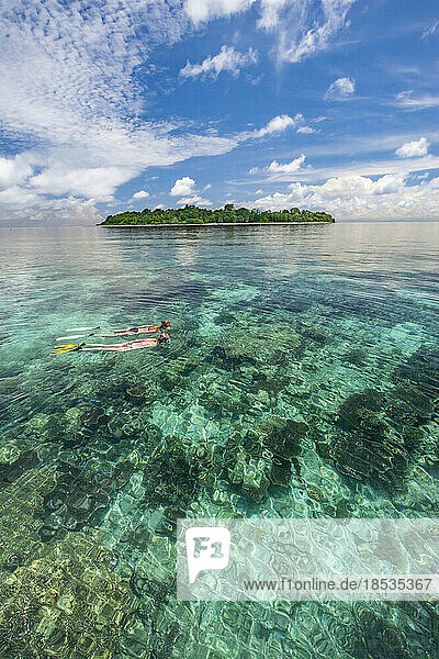 Schnorchler über dem Riff an einem besonders ruhigen  glasklaren Tag vor der Insel Sipidan in Malaysia; Sipidan Island  Malaysia
