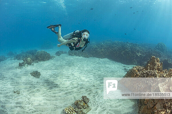 Diver pictured cruising past a sand bottom and hard coral off the island of Maui  Hawaii  USA; Maui  Hawaii  United States of America