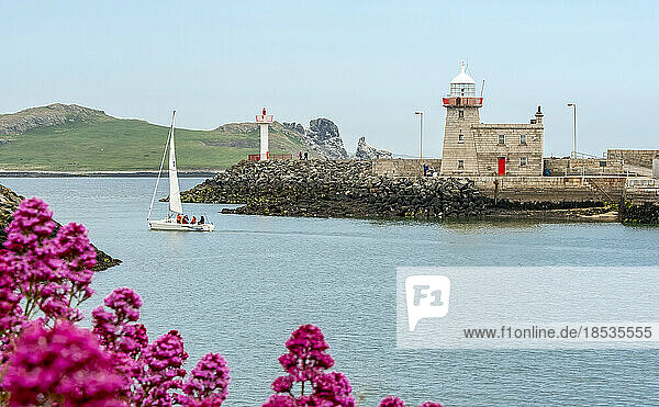 Leuchtturm und Segelboot vor der Küste Irlands mit blühenden Blumen im Vordergrund; Howth  Grafschaft Dublin  Irland