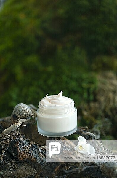 Kosmetika  Hautpflege  Schönheit  Körperbehandlung Konzept. Weißes Kosmetikglas  Tube  Flasche auf grünem Moos und Blumenhintergrund. Biophiler Entwurf. Attrappe. Vegan  umweltfreundlich
