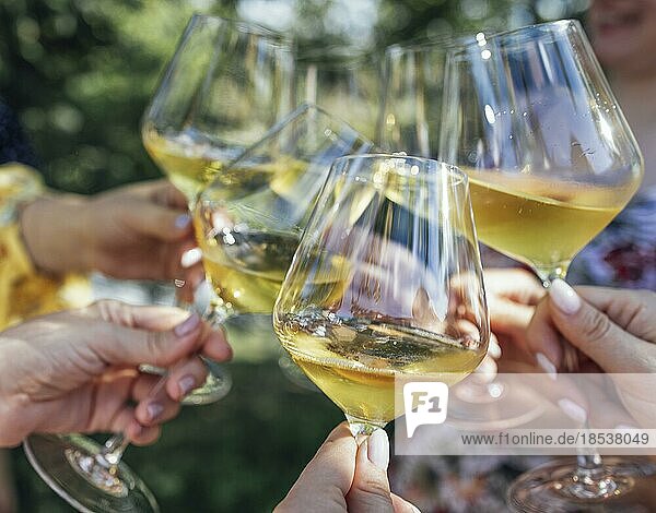 Ein feierlicher Trinkspruch mit Sekt. Weibliche Hände halten Gläser mit Champagner. Geburtstag  Urlaub  Party und Freundschaft Konzept