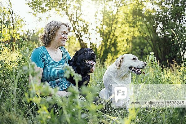 Elderly grayhaired woman with her dogs in the park. Portrait of a smiling senior female sitting outside with her golden and black labradors on grass. Happy aged woman hugging her pet