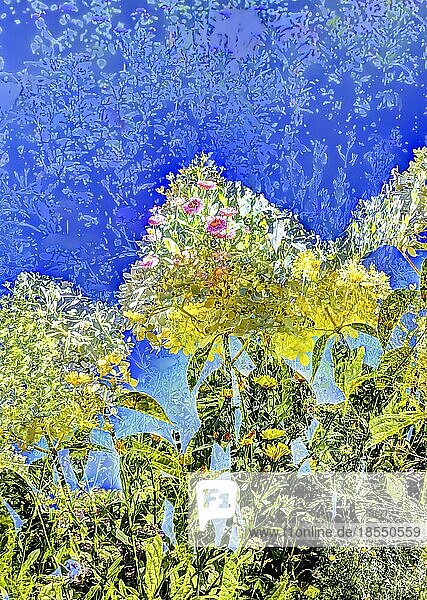Blumen kreativ  künstlerische Aufnahme  weiße Blüten verfremdet  Pflanzen  Deutschland  Europa