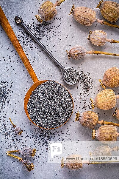 Bündel Mohnköpfe und Schale mit Samen auf dem Küchentisch