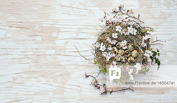 Nest mit Ostereiern und blühenden Zweigen auf weißem Holzhintergrund mit Kopierraum