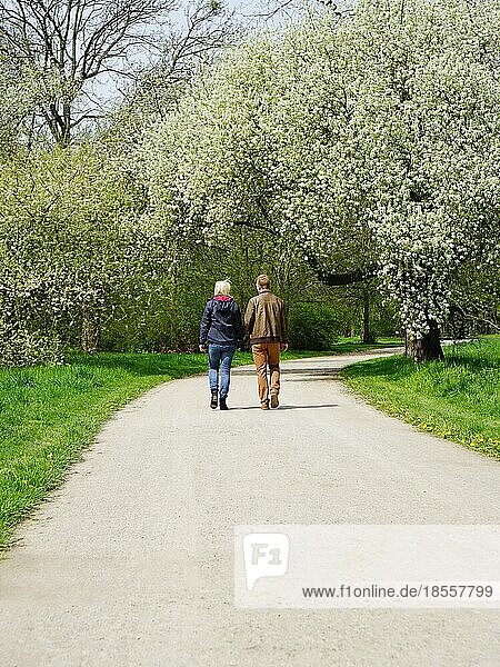 rear view of a young couple going for a walk in a park in spring