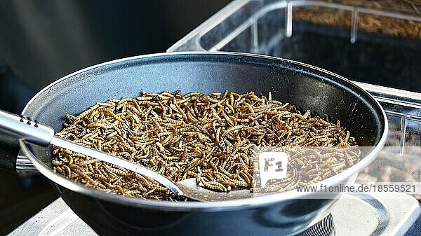Bratpfanne voller gebratener Mehlwürmer an einem Marktstand  Entomophagie-Protein-Snack  Insekten als Nahrungsmittel  selektiver Fokus mit geringer Schärfentiefe