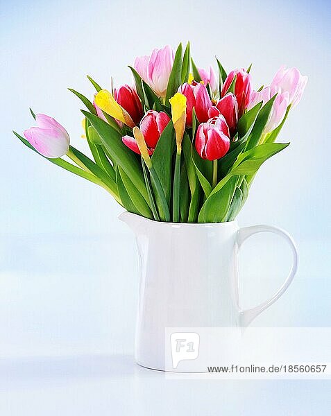 Haushaltsgerät  schöne Frühlingsblumen in Vase auf dem Tisch