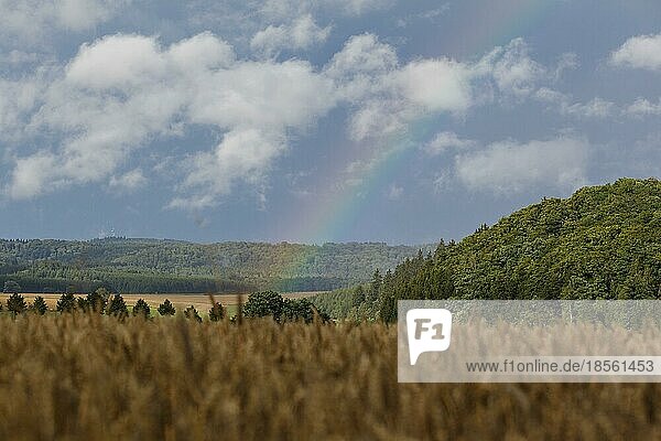 Harz Landschaftsaufnahme mit Regenbogen