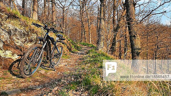 Mountainbike fahren in der Urlaubsregion Harz Selketal