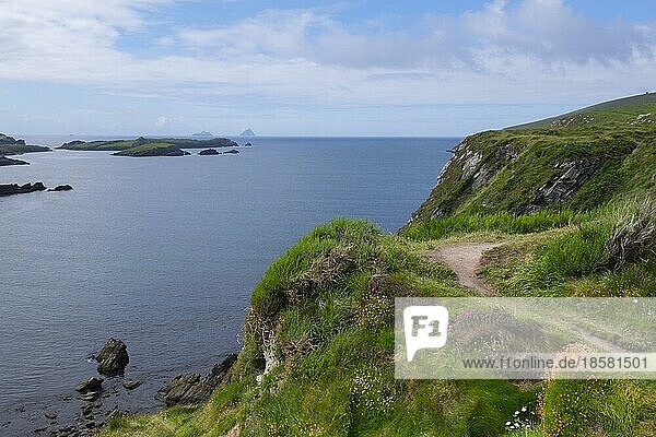 Steilküste am Skellig Ring  am Horizont die Skellig Inseln  Ring of Kerry  County Kerry  Irland  Europa