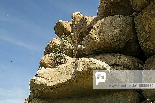 Unterschiedlich geformte Felsen in Hampi  Karnataka  Südindien  Indien. UNESCO-Weltkulturerbe