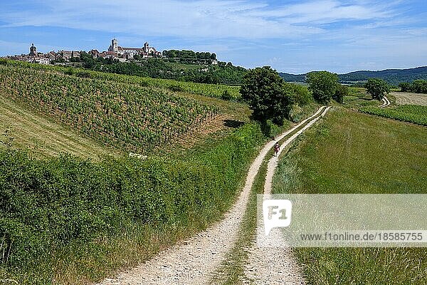 Wanderer auf dem Weg nach Vézelay  Département Yonne  Region Bourgogne-Franche-Comté  Burgund  Frankreich  Europa