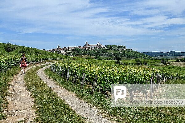 Wanderer auf dem Weg nach Vézelay  Département Yonne  Region Bourgogne-Franche-Comté  Burgund  Frankreich  Europa