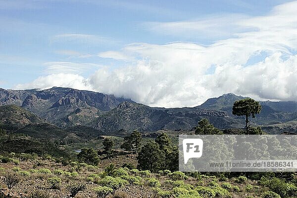 Landschaft auf Gran Canaria