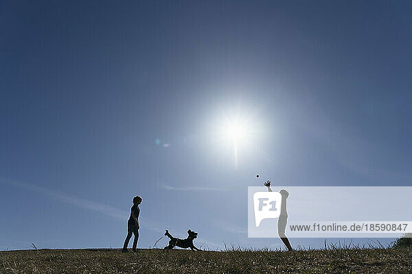 Silhouette of two boys (12-13) and dog playing in meadow