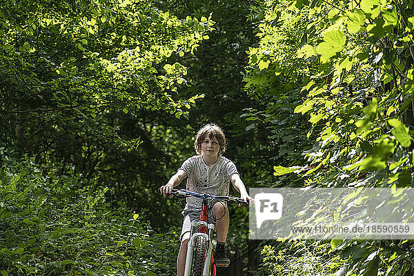 Boy riding bike on treelined footpath