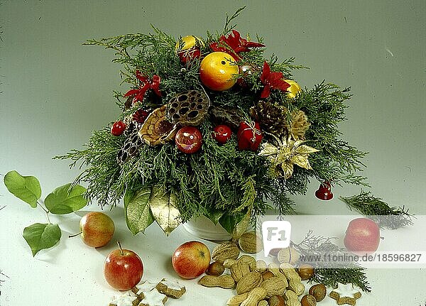 Weihnachtsgebinde (Thuja-Strauß) mit Äpfeln  Nüssen  Zimtsternen  Weihnachtszeit  Advent  Christmas truss (Thuja bunch) with apples  nuts  cinnamon stars  yule tide