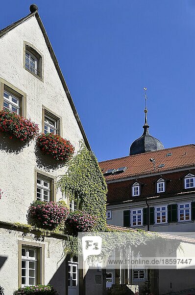 Altstadt in Besigheim  rote Hängegeranien  Fachwerkhaus  Geranien am Fenster