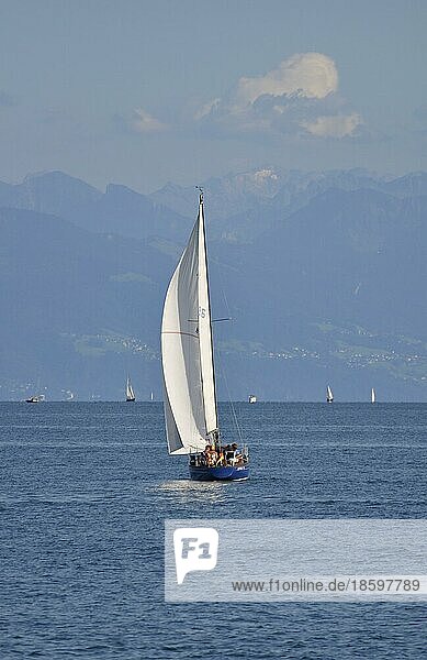 Segelschiff auf dem am Bodensee