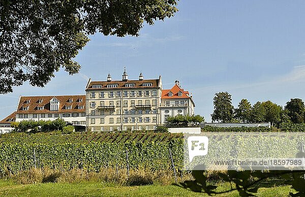 Am Bodensee  Schloss: Kirchberg bei Immenstaad  Weinberg