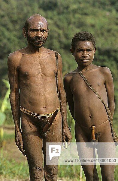 Yali-Männer  Vater und Sohn  mit Penisköcher  West-Papua  West-Neuguinea  Irian-Jaya  Yali-Mann  Indonesien  Asien