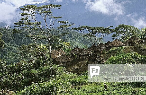 Serkasi  Yali Village  West Papua  West New Guinea  Irian-Jaya  Indonesia  Asia