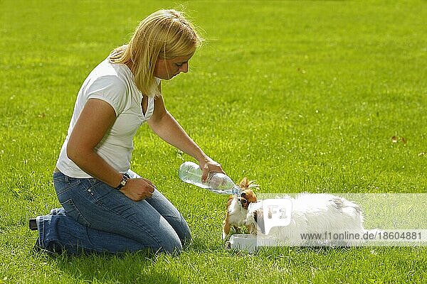 Frau gibt Chihuahua und Mischlingshund  Welpe Wasser  Napf  Wassernapf  knieen  kniet