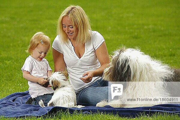 Frau mit Tochter  Bobtail und Mischlingshund  Welpe  Altenglischer Schäferhund  Old English Sheepdog