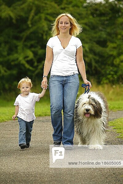 Frau mit Tochter und Bobtail  Altenglischer Schäferhund  Old English Sheepdog  Leine  angeleint  Spaziergang