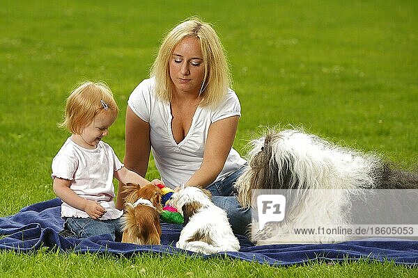 Frau mit Tochter  Bobtail  Chihuahua und Mischlingshund  Welpe  Altenglischer Schäferhund  Old English Sheepdog