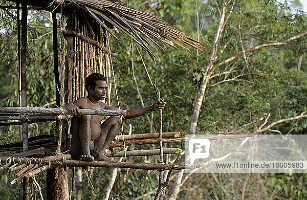 Mann vom Volk der Korowai an Baumhaus  West-Papua  West-Neuguinea  Irian-Jaya  Baummenschen  Indonesien  Asien