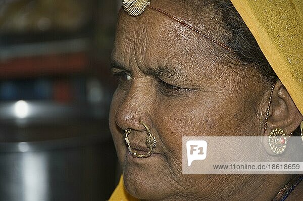 Indische Frau  Udaipur-Markt  Rajasthan  Indien  Asien