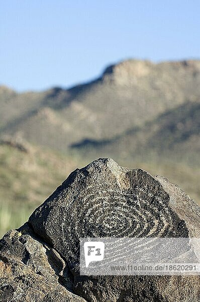 Felskunst am Signal Hill  geschaffen von den Hohokam-Indianern  zeigt eine spiralförmige Petroglyphe mit den Tucson Mountains im Hintergrund  Saguaro National Park  Arizona  USA  Nordamerika