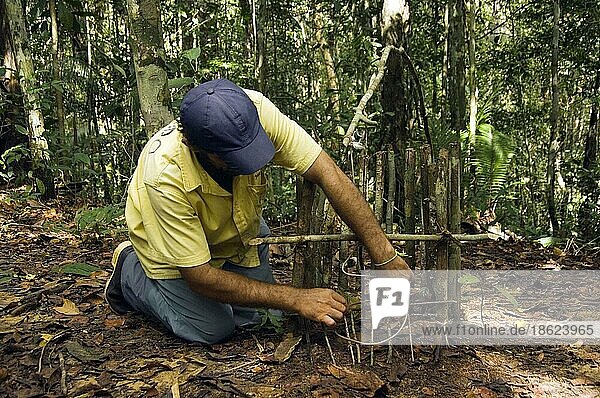 Jäger baut Aguti-Falle  Staat Amazonas  Brasilien  Südamerika