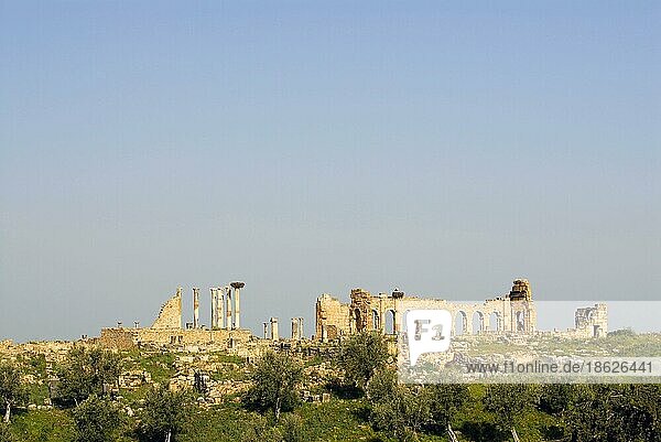 Ruine von Capitol und Basilika  Volubilis  antike römische Stadt  Marokko  Afrika
