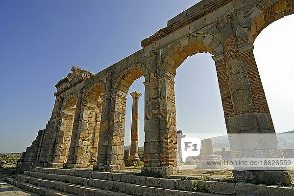 Basilika-Ruine  Volubilis  antike römische Stadt  Marokko  Afrika