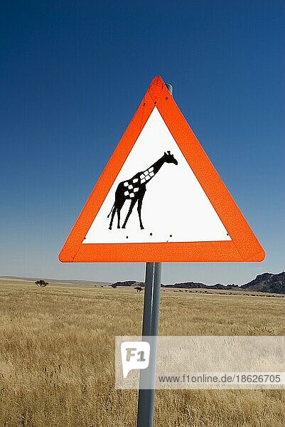 Verkehrsschild 'Achtung Giraffen'  Namibia  Afrika