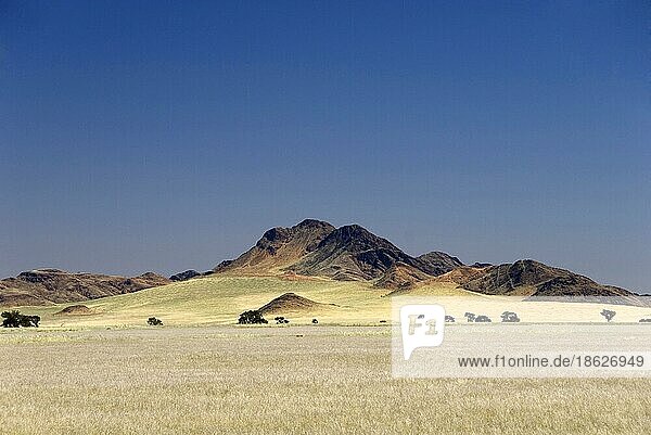 Steppenlandschaft  an der C27 bei Sesriem  Namibia  Afrika