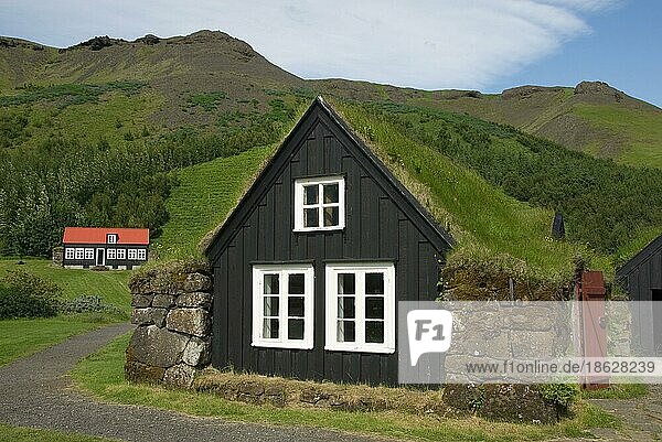 Grassodenhaus  Skogar  Heimatmuseum  Skogasafn  Island  Dachbegrünung  Torfhaus  Europa