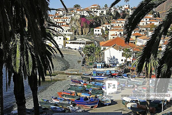 Fischerboote im Hafen  Camara de Lobos  Madeira  Portugal  Europa