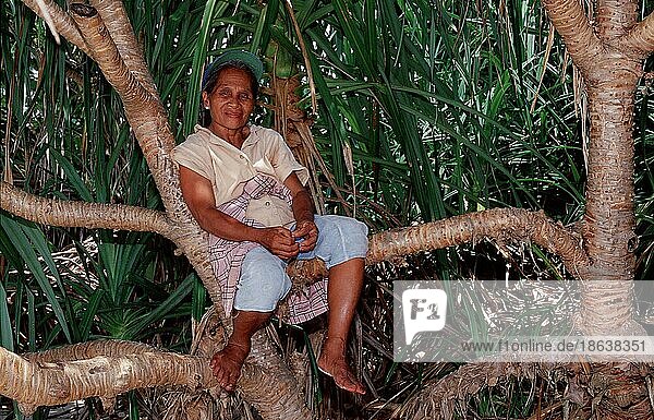 Woman sitting on tree  Bohol Island  Philippines  Frau sitzt auf Baum  Insel Bohol  Philippinen  Asien