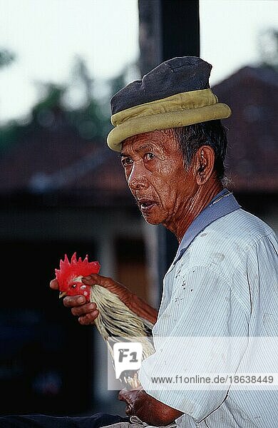 Mann mit Haushahn bei Hahnenkampf  Bali  Hahn  Haushuhn  Indonesien  Asien