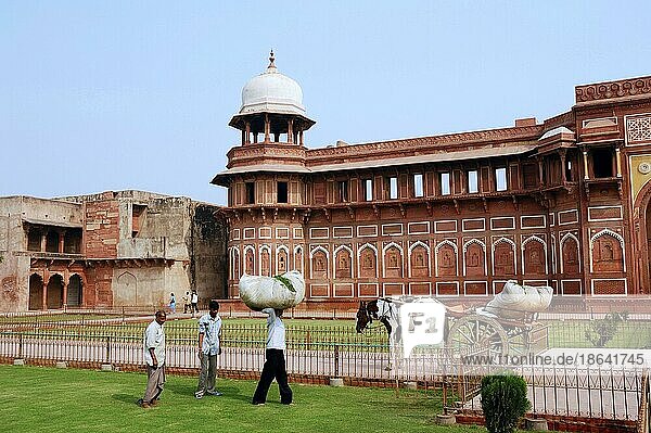 Männer beladen Pferdekarren  Red  Rotes Fort  Agra  Uttar Pradesh  Indien  Asien