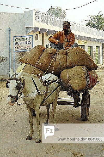Mann mit Pferdekarren  Bharatpur  Rajasthan  Indien  Pferdewagen  Asien