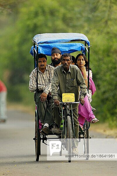 Rikschafahrer mit Touristen  Nationalpark  Bharatpur  Rajasthan  Indien  Keoladeo Ghana  Asien
