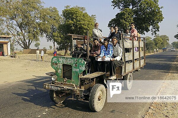 Traktor mit Anhänger  Rajasthan  Indien  Asien
