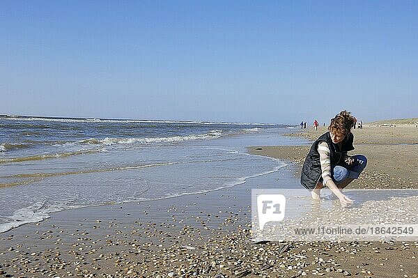 Woman looking for shells on the beach  Netherlands